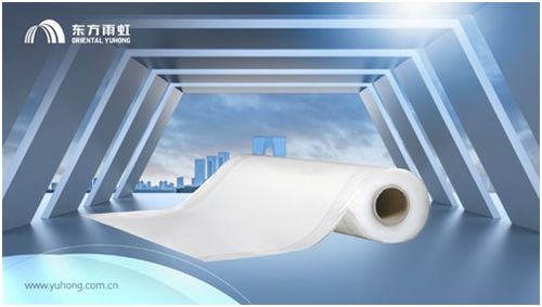 东方雨虹金禹奖金奖工程 攀大高速公路宝鼎隧道防水技术典范